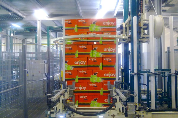 Embalaje de cajas de manzanas